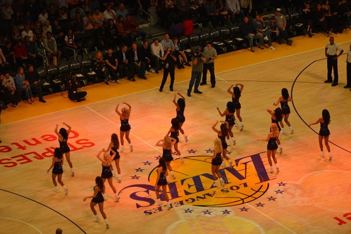 炉膛一体动物油熬练直烧锅