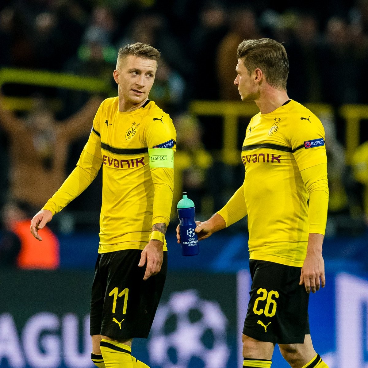 交钥匙米糠油生产线,油料油脂工程